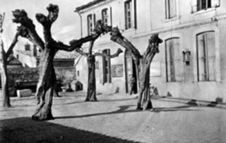 Bâtiment USJ
