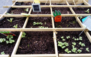 Jardin de Ben - Carrés potager