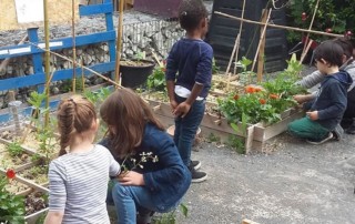 Activités au Jardin de l'Union Saint-Jean