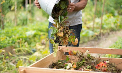 Bac compost