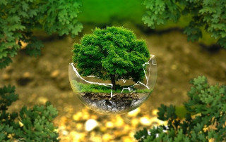 Jour de la terre