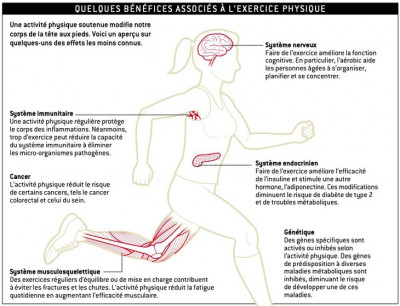 Bienfaits sport santé