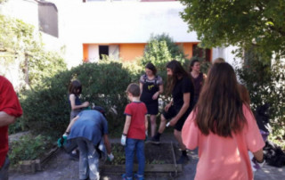 La Cloche - Jardin de l'USJ