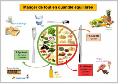 Repas Equilibré