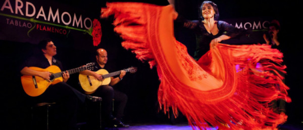 Flamenco Danse et Guitares