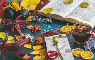 Activités d'automne